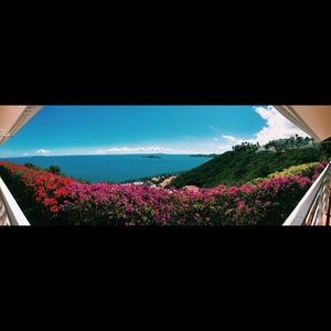 Meet your Posher, Layla